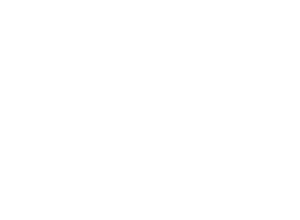 Medi-Cal Provider